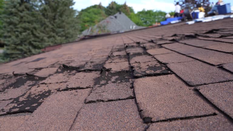 Fast & Reliable Emergency Roof Repairs in Linden, NJ